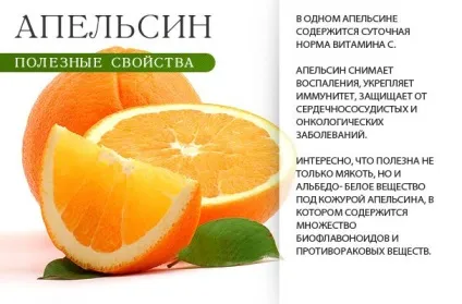 Білковий коктейль для схуднення в домашніх умовах - більше 20 рецептів (схуднення) Білковий коктейль для схуднення в домашніх умовах - більше 20 рецептів