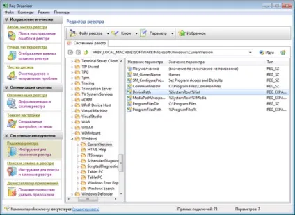 Безкоштовна версія reg organizer, повністю російською (редактор реєстру) Безкоштовна версія reg organizer, повністю російською