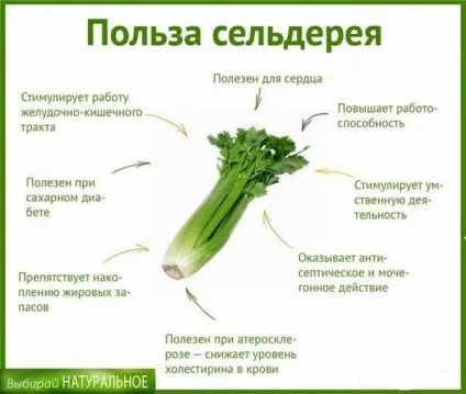Білковий коктейль для схуднення в домашніх умовах - більше 20 рецептів (схуднення) Білковий коктейль для схуднення в домашніх умовах - більше 20 рецептів