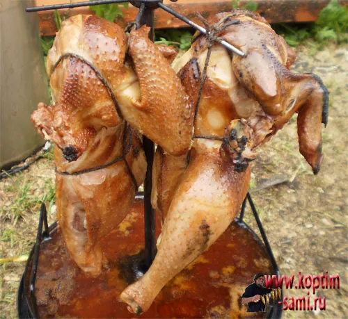 Гаряче копчення курки в домашніх умовах (курки) Гаряче копчення курки в домашніх умовах