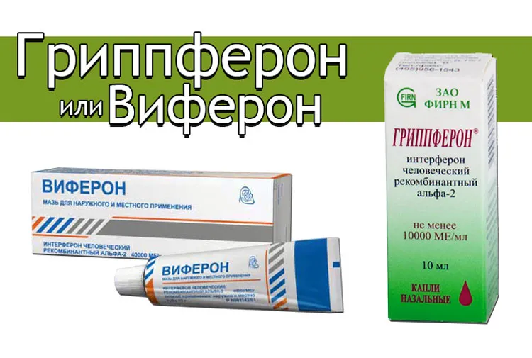 Гриппферон або віферон - що краще як лікувати і вилікувати (грипферон) Гриппферон або віферон - що краще як лікувати і вилікувати