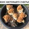 Цікаво, як змінилася б наше життя, якби шлюб треба було щороку продовжувати в загсі (мудрі афоризми) Цікаво, як змінилася б наше життя, якби шлюб треба було щороку продовжувати в загсі