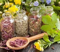 Ішемія головного мозку - лікування народними засобами (ішемія) Ішемія головного мозку - лікування народними засобами