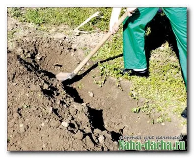 Зміни лопати для риття канави водопостачання - дача своїми руками будуємо, садимо, прикрашаємо, (копати) Зміни лопати для риття канави водопостачання - дача своїми руками будуємо, садимо, прикрашаємо,