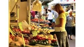 Кадастровий інженер як індивідуальний підприємець особливості функціонування (підприємець) Кадастровий інженер як індивідуальний підприємець особливості функціонування