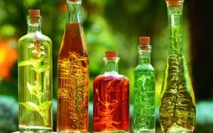 Як використовувати касторову олія для волосся з максимальною користю (масло) Як використовувати касторову олія для волосся з максимальною користю