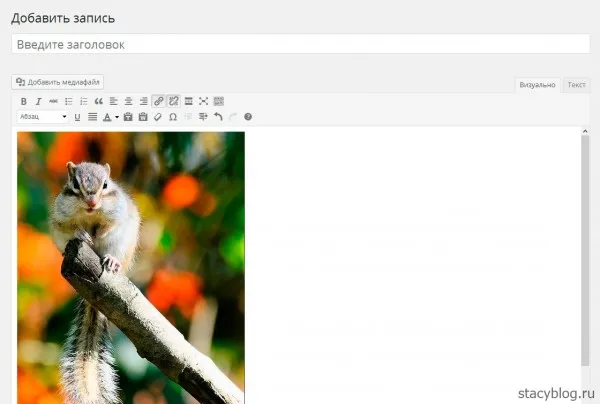 Як додати картинку в wordpress