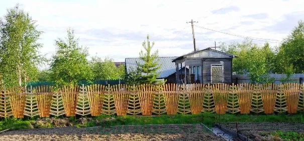 Які бувають паркани, фото (бувають) Які бувають паркани, фото