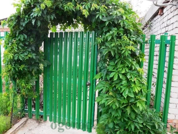 Які бувають паркани, фото (паркани) Які бувають паркани, фото