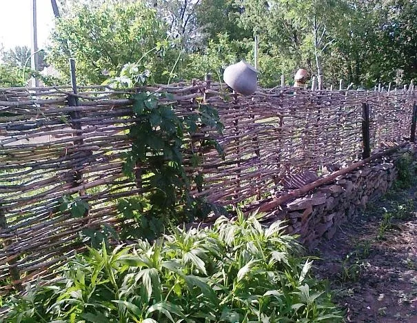 Які бувають паркани, фото (які) Які бувають паркани, фото