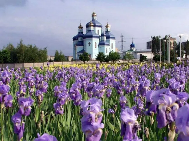 Як дістатися до Кривого Рогу