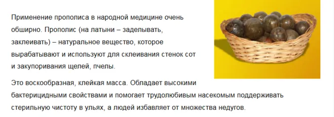 Як використовують прополіс в народній медицині (прополіс) Як використовують прополіс в народній медицині