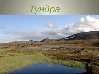 Який клімат в тундрової зоні (в тундрі) (тундрова зона) Який клімат в тундрової зоні (в тундрі)