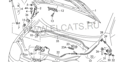 Як відкрити капот, якщо трос порвався на фольксваген гольф - форум volkswagen golf (капот) Як відкрити капот, якщо трос порвався на фольксваген гольф - форум volkswagen golf