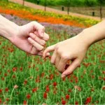 Як помиритися з хлопцем якщо винен він чи ви перевірені способи (винен) Як помиритися з хлопцем якщо винен він чи ви перевірені способи