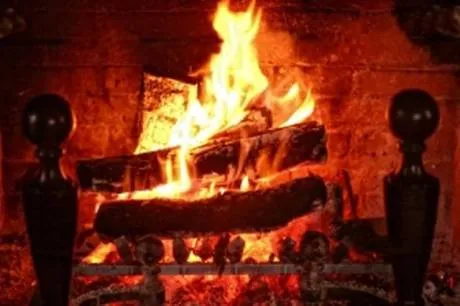 Як підвищити схожість насіння розчини для замочування (насіння) Як підвищити схожість насіння розчини для замочування