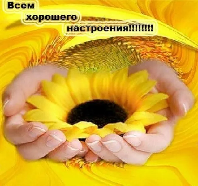 Як підняти настрій перевірені поради (підняти собі настрій) Як підняти настрій перевірені поради