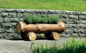 Як зробити клумбу в пні або дереві своїми руками, для