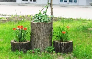 Як зробити клумбу в пні або дереві своїми руками, для