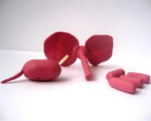 Як зліпити слона з пластиліну (зліпити слона пластиліну) Як зліпити слона з пластиліну