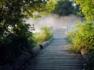 Як впоратися з тривогою 7 основних исцеляющих прийомів, таємниця - це ти (основних исцеляющих прийомів) Як впоратися з тривогою 7 основних исцеляющих прийомів, таємниця - це ти