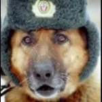Як піти на дембель, блог yurasumy, конт (піти) Як піти на дембель, блог yurasumy, конт