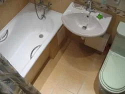 Як встановити тюльпан