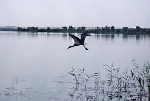 Як поліпшити відносини в жіночому колективі (відносини в колективі) Як поліпшити відносини в жіночому колективі