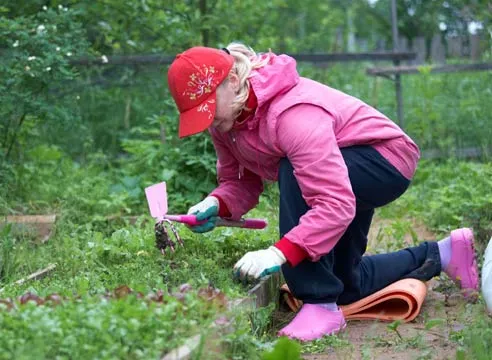 Як вибрати правильного садівника на (енциклопедія рослин) Як вибрати правильного садівника на