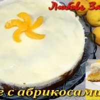 Страви з абрикосами 213 рецептів (Абрикоси власному соку) Страви з абрикосами 213 рецептів