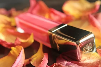 Блиск для губ guerlain kiss kiss gloss (відтінок № 860 rose florida) - відгуки, фото і ціна (guerlain) Блиск для губ guerlain kiss kiss gloss (відтінок № 860 rose florida) - відгуки, фото і ціна