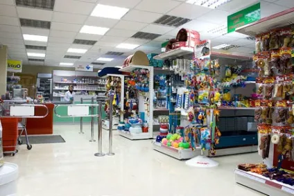 Бізнес ідея відкриваємо магазин зоотоварів (зоотоварів) Бізнес ідея відкриваємо магазин зоотоварів