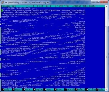 Billmanager v4