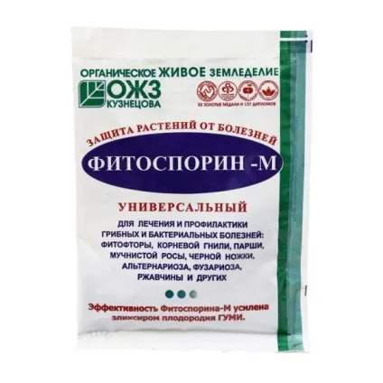 Хвороби картоплі - докладні описи, як боротися, профілактика (хвороби) Хвороби картоплі - докладні описи, як боротися, профілактика