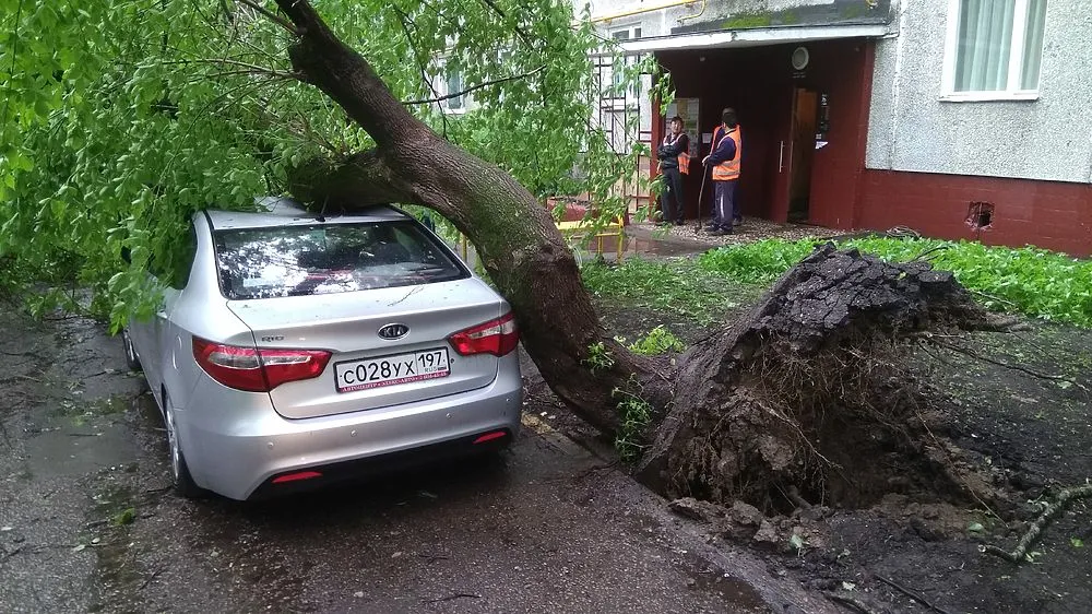 Як вижити під час урагану в місті ради рятувальника - суспільство (як вижити під час урагану в місті ради рятувальника) Як вижити під час урагану в місті ради рятувальника - суспільство