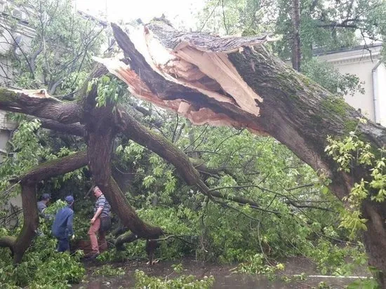 Як вижити під час урагану в місті ради рятувальника - суспільство (поради) Як вижити під час урагану в місті ради рятувальника - суспільство