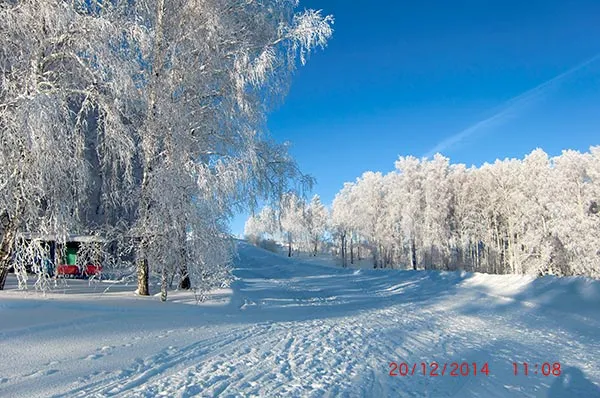 Як я провів свій день народження, котоблог (день) Як я провів свій день народження, котоблог