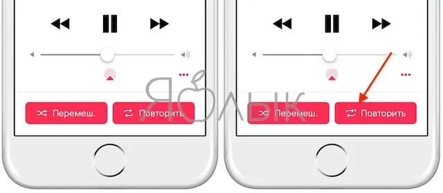 Як включити повтор пісні або альбому по колу на iphone, ipad і в itunes на mac, windows, новини (yablyk-news) Як включити повтор пісні або альбому по колу на iphone, ipad і в itunes на mac, windows, новини