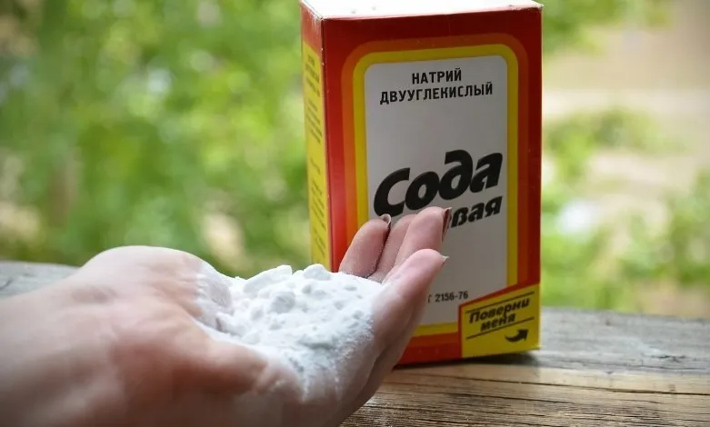 Як витягти скалку в домашніх умовах з ока, з під нігтя, на руці (витягнути) Як витягти скалку в домашніх умовах з ока, з під нігтя, на руці