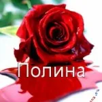 Картинки з ім'ям поля (27шт), картинки з іменами (іменами) Картинки з ім'ям поля (27шт), картинки з іменами