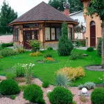 Карликові дерева для саду (38 фото) відео-інструкція по вирощуванню своїми руками, особливо (карликові дерева для саду їли своїми руками) Карликові дерева для саду (38 фото) відео-інструкція по вирощуванню своїми руками, особливо