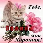 Картинки з ім'ям поля (27шт), картинки з іменами (поля) Картинки з ім'ям поля (27шт), картинки з іменами
