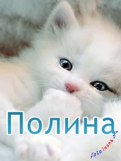 Картинки з ім'ям поля (27шт), картинки з іменами (іменами) Картинки з ім'ям поля (27шт), картинки з іменами