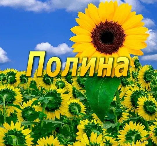 Картинки з ім'ям поля (27шт), картинки з іменами (картинки) Картинки з ім'ям поля (27шт), картинки з іменами