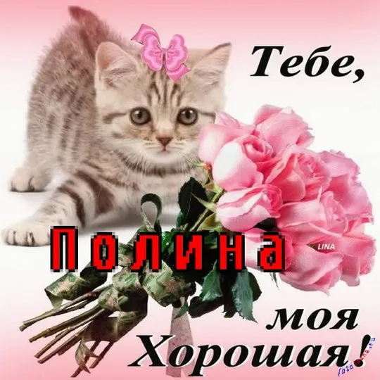 Картинки з ім'ям поля (27шт), картинки з іменами (поля) Картинки з ім'ям поля (27шт), картинки з іменами