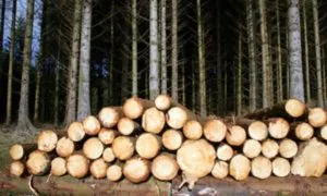 Компанія сібруб - будуємо ексклюзивні дерев'яні будинки сибіру (будинку) Компанія сібруб - будуємо ексклюзивні дерев'яні будинки сибіру