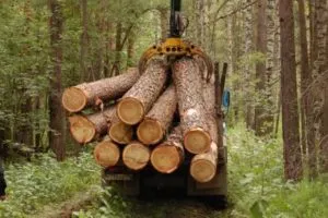 Компанія сібруб - будуємо ексклюзивні дерев'яні будинки сибіру (будинку) Компанія сібруб - будуємо ексклюзивні дерев'яні будинки сибіру