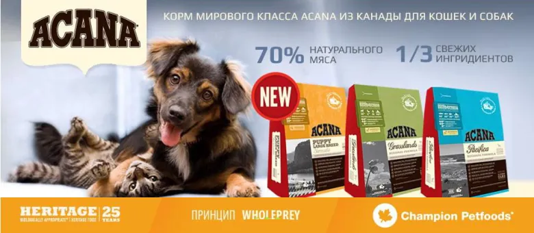 Клітки для собак, інтернет зоомагазин зооград (клітини) Клітки для собак, інтернет зоомагазин зооград