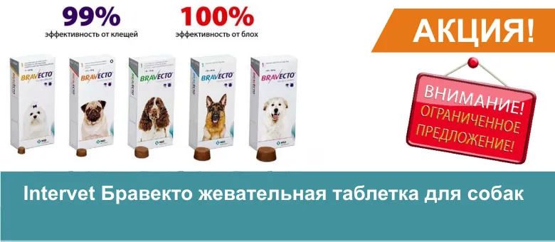 Клітки для собак, інтернет зоомагазин зооград (клітина перевезення собак) Клітки для собак, інтернет зоомагазин зооград