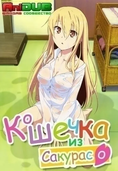 Кішечка з сакурасо 1
